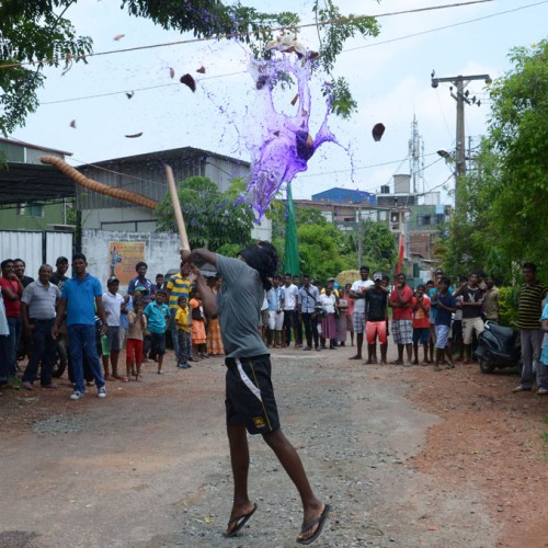 සණස අලුත් අවුරුදු 2014