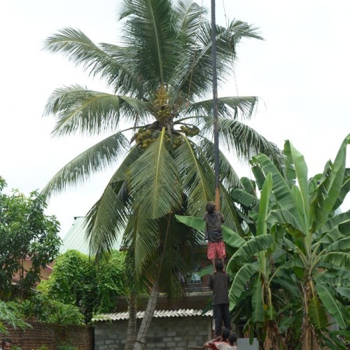 සණස අලුත් අවුරුදු 2014