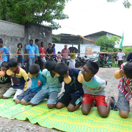 සණස අලුත් අවුරුදු 2014