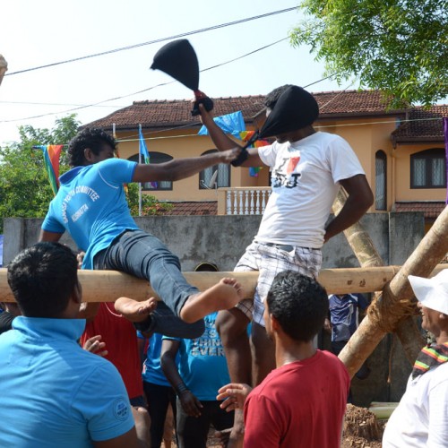 සණස අලුත් අවුරුදු 2014