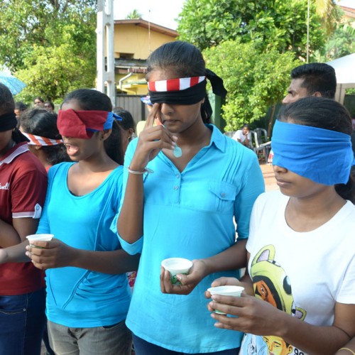 සණස අලුත් අවුරුදු 2014