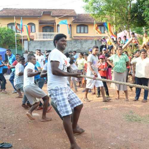 සණස අලුත් අවුරුදු 2014